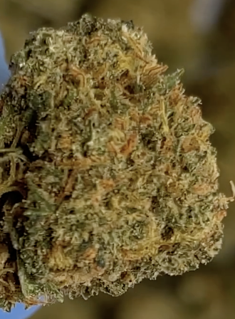 Cherry lady  CBD SALE
